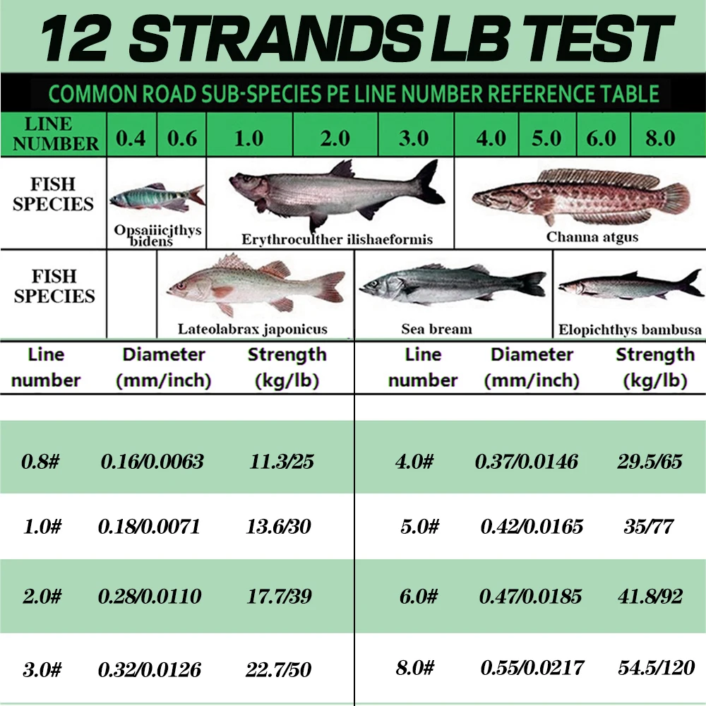 12Strands 100m 300m 500m 1000m - Monofilament Line recension och pris